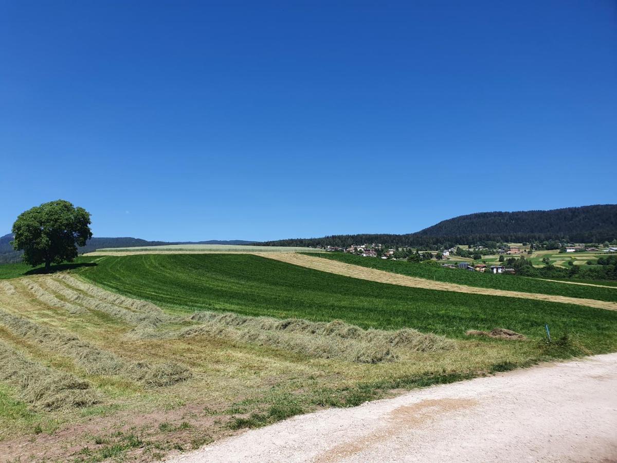 Agritur Belsogno B&B Brez Zewnętrze zdjęcie